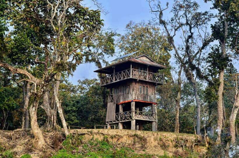 From Kathmandu/Pokhara: 2, 3, or 4-Day Chitwan Jungle Safari - Your first afternoon: village life and the Rapti area