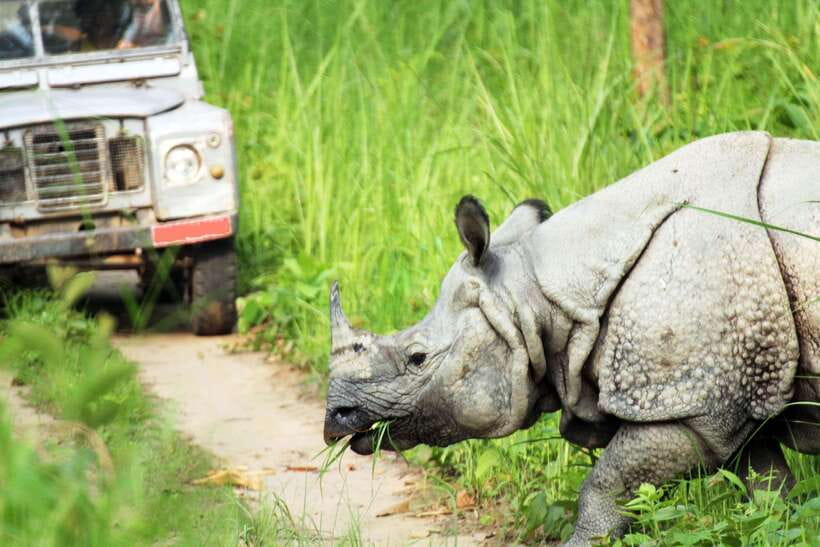 From Kathmandu/Pokhara: 2, 3, or 4-Day Chitwan Jungle Safari - Conservation centers that add context