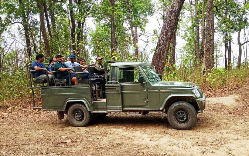From Kathmandu/Pokhara: 2, 3, or 4-Day Chitwan Jungle Safari - Guides, meals, and group size
