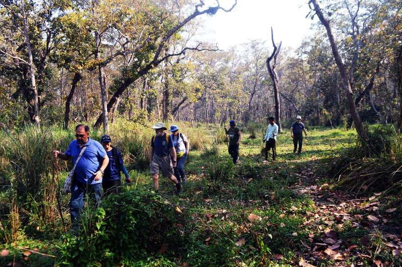 From Kathmandu/Pokhara: 2, 3, or 4-Day Chitwan Jungle Safari - Hotel Rainforest and the practical side of the stay