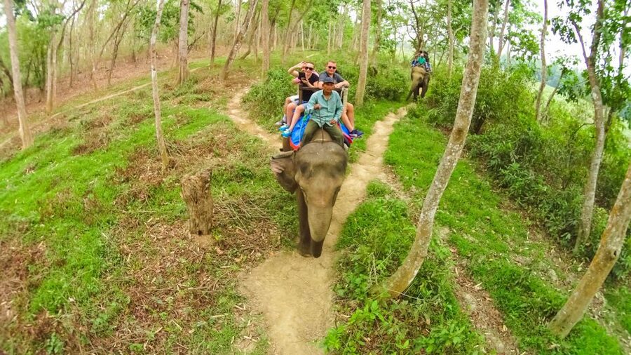 From Kathmandu/Pokhara: 3-Day All-Inclusive Chitwan Safari - Day two: canoe, elephants, and the main safari
