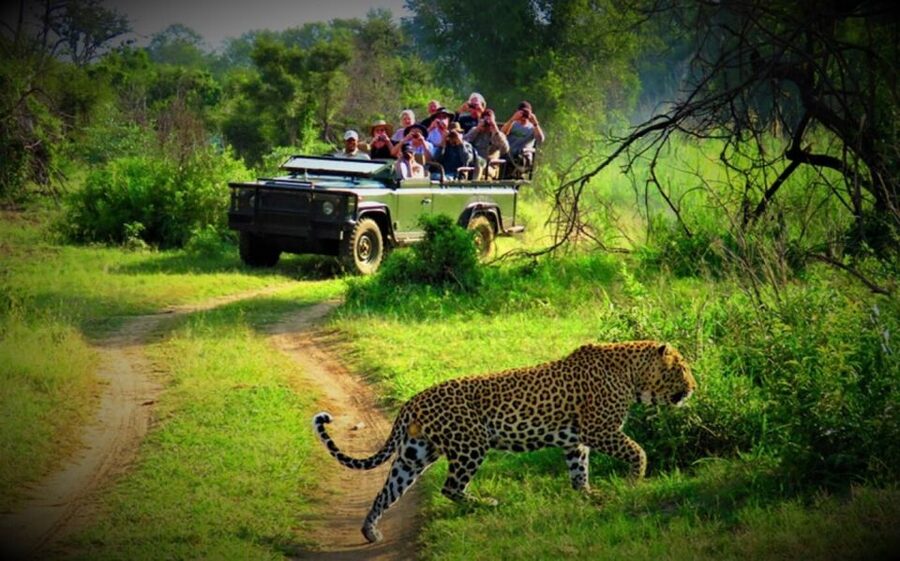 From Kathmandu/Pokhara: Private 3-Day Chitwan Safari Tour - Key points to know before you book