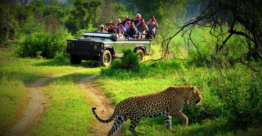 From Kathmandu/Pokhara: Private 3-Day Chitwan Safari Tour - Why Chitwan makes a good break from Nepal’s cities