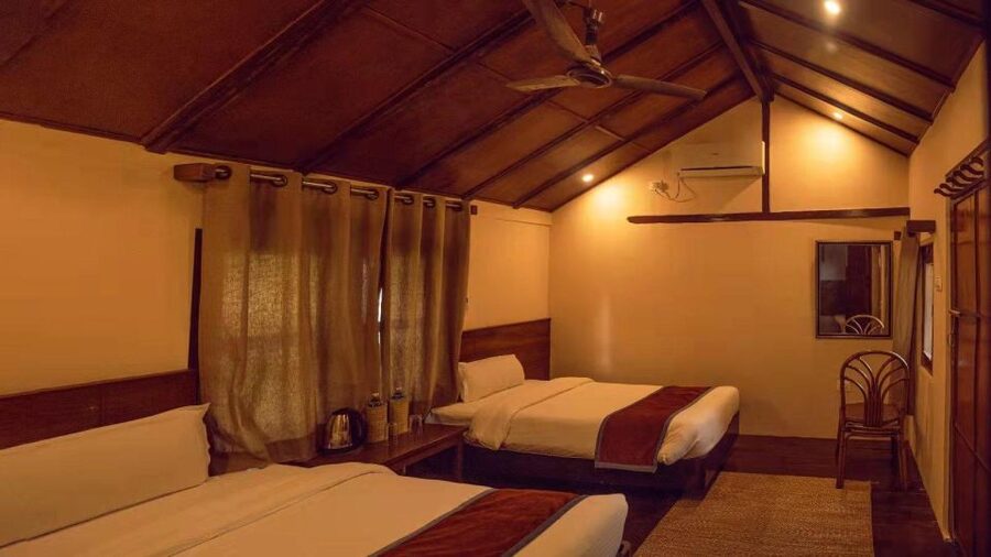 From Kathmandu/Pokhara: Private 3-Day Chitwan Safari Tour - Should you book this Chitwan tour?