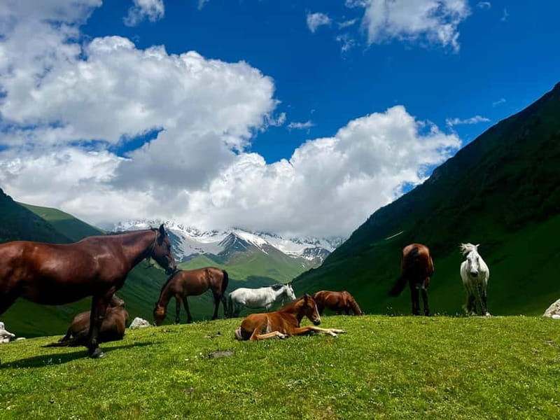 From Kutaisi: Svaneti Mountain Villages 2-Day 4x4 Safari - FAQ