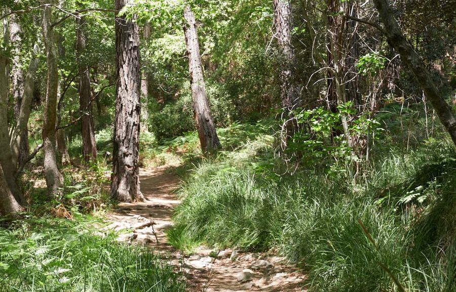 From Larnaca: Grand Tour Jeep Safari - Key points at a glance