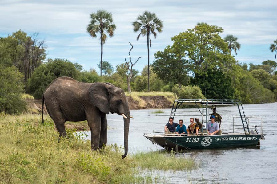 From Livingstone: Victoria Falls River Safari - Who will enjoy this two-hour safari most