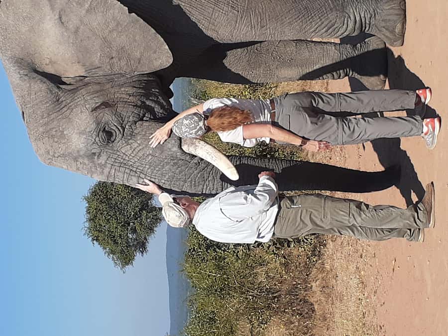 From Malelane: Kruger National Park Full-Day Safari - Afternoon wildlife viewing and the return route