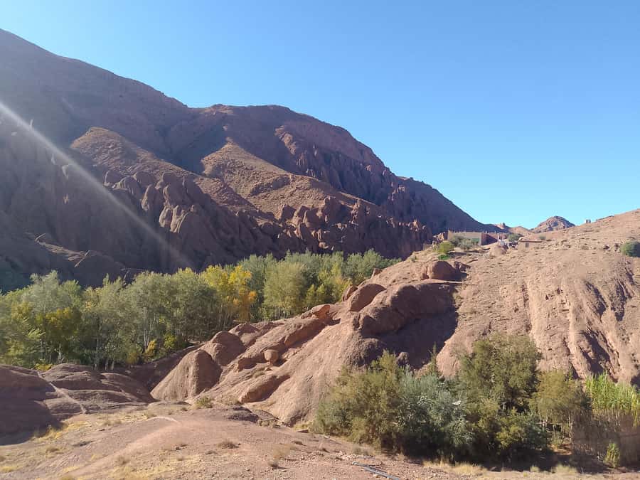 From Marrakech: 4-Day Morocco Sahara Desert Experience - Day 3: Sunrise, camels, and the Monkey Fingers rock formations