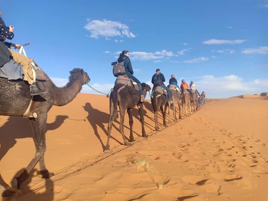 From Marrakech: 4-Day Morocco Sahara Desert Experience - Day 2: Todra Gorge, palm oases, and the road to Merzouga