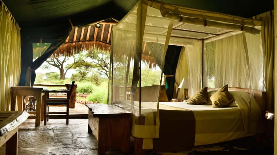 From Nairobi: 2-Day Amboseli National Park Safari - Midday arrival and the first game drive