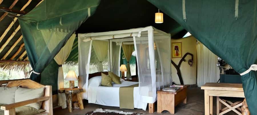 From Nairobi: 2-Day Amboseli National Park Safari - Booking details worth checking