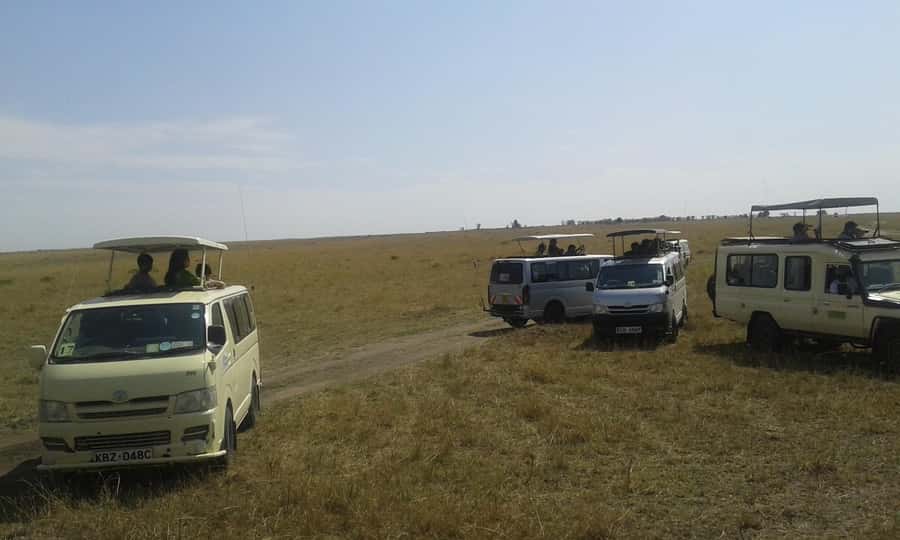 From Nairobi: 3 Days, 2 Nights Maasai Mara Group Safari - Why this three-day safari works