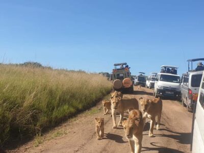 3 Days, 2 Nights Maasai Mara Group Safari