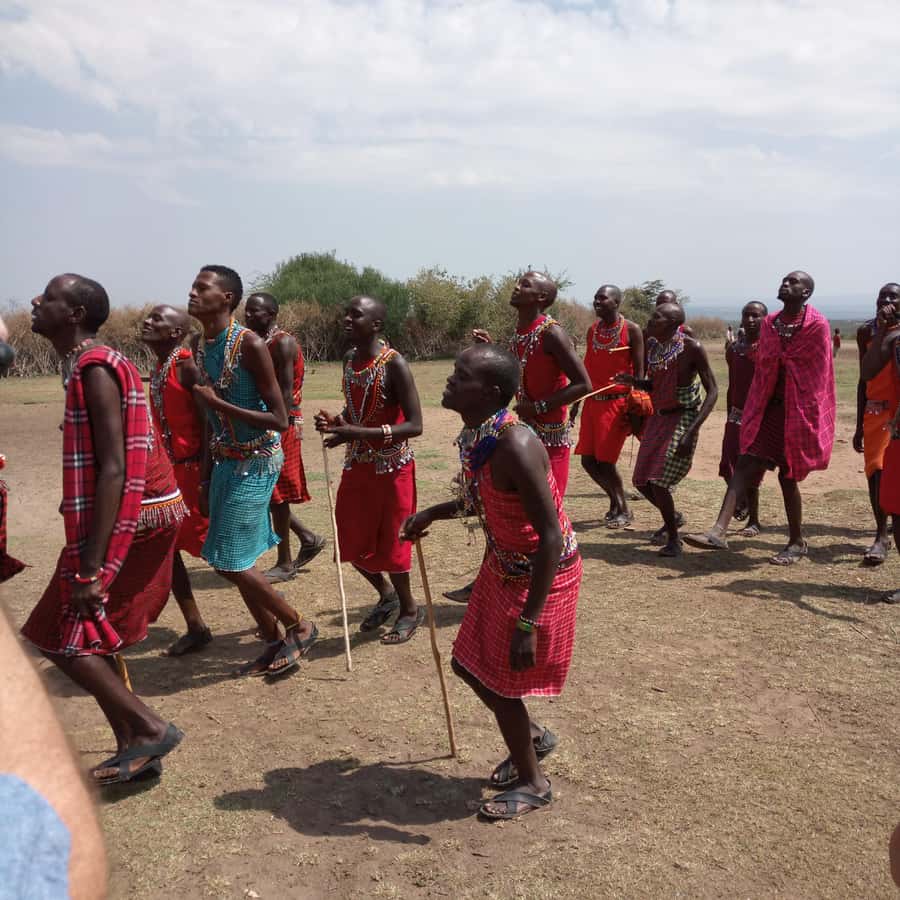 From Nairobi: 3 Days, 2 Nights Maasai Mara Group Safari - What the $199 price really buys