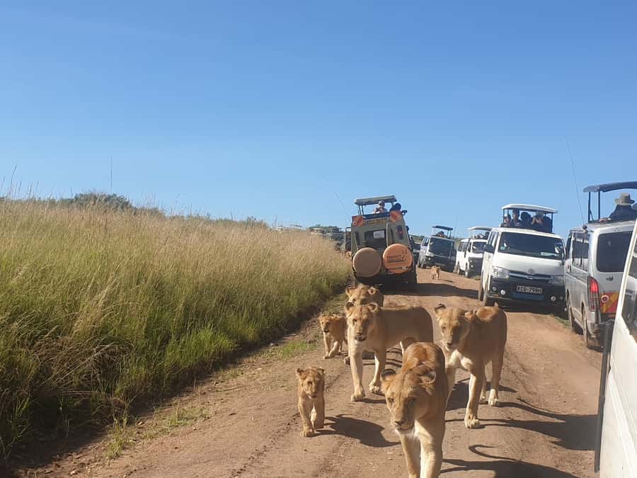 From Nairobi: 3 Days, 2 Nights Maasai Mara Group Safari - The Nairobi to Mara road journey