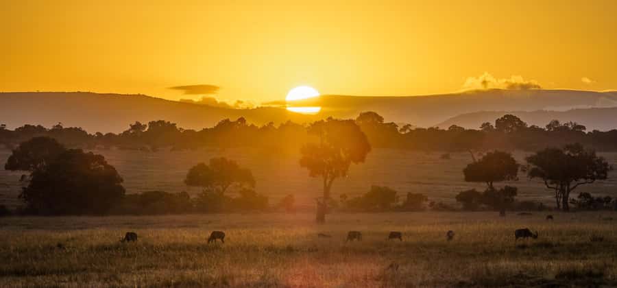 From Nairobi: 3 Days 2 Nights Masai Mara Group Safari - Leaving Nairobi at 8 a.m. for the Great Rift Valley
