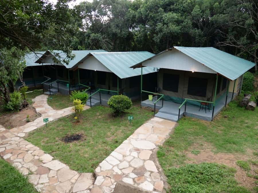 From Nairobi: 3 Days 2 Nights Masai Mara Group Safari - The Mara River and the wildebeest question