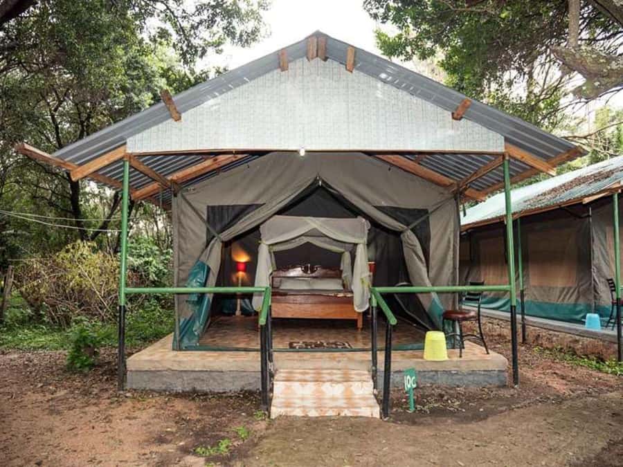 From Nairobi: 3 Days 2 Nights Masai Mara Group Safari - What the $200 price really covers
