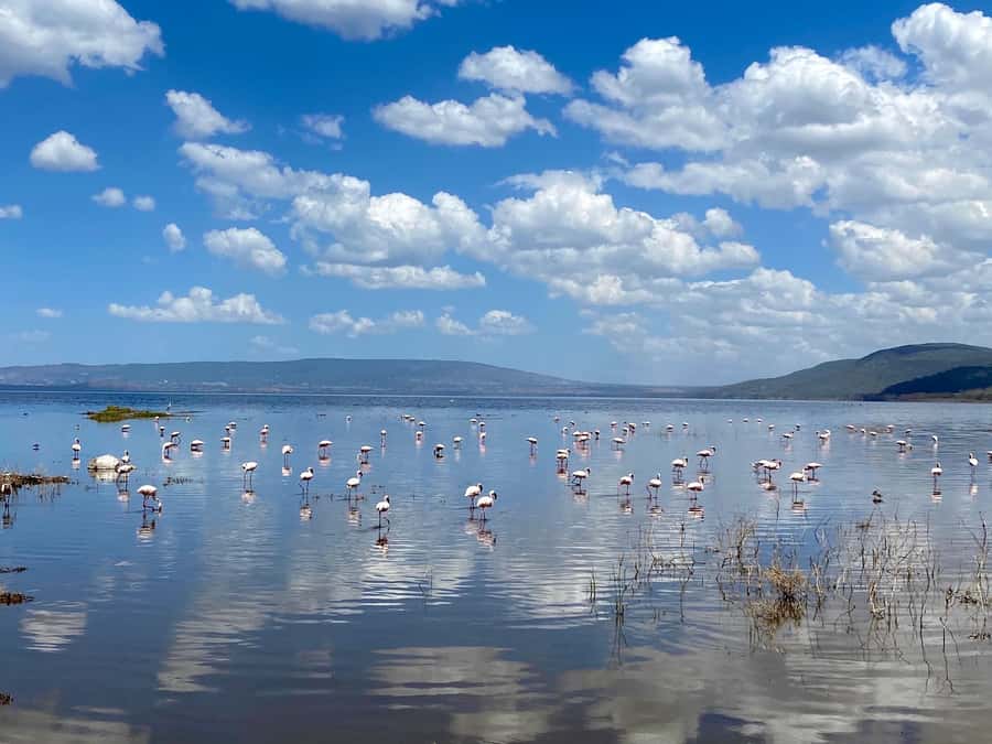 From Nairobi: 7 Days Masai Mara, Nakuru, and Amboseli Safari - Day 5: Hell’s Gate before the long drive to Amboseli