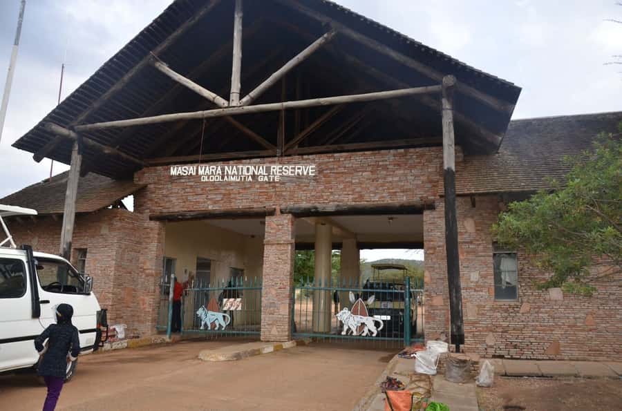 From Nairobi: 7 Days Masai Mara, Nakuru, and Amboseli Safari - Day 1: The Great Rift Valley and a first Mara drive