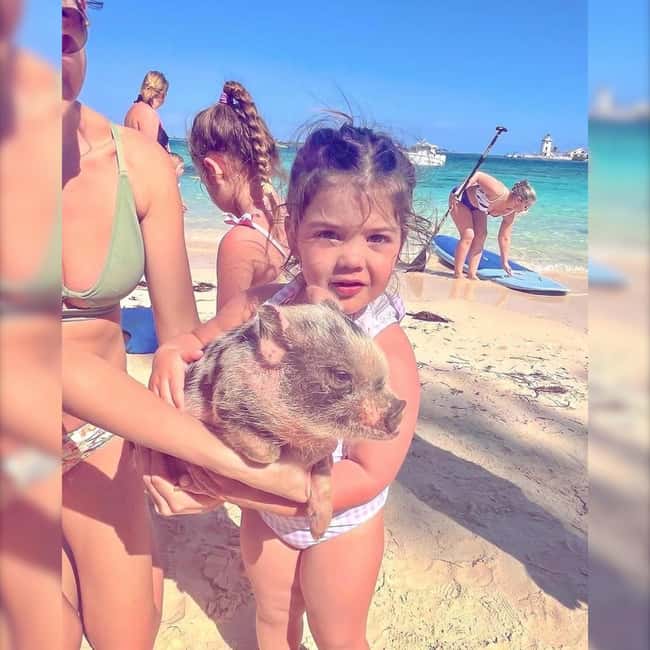 From Nassau: Swim with Pigs Safari - Drinks, snacks, music, and free photographs