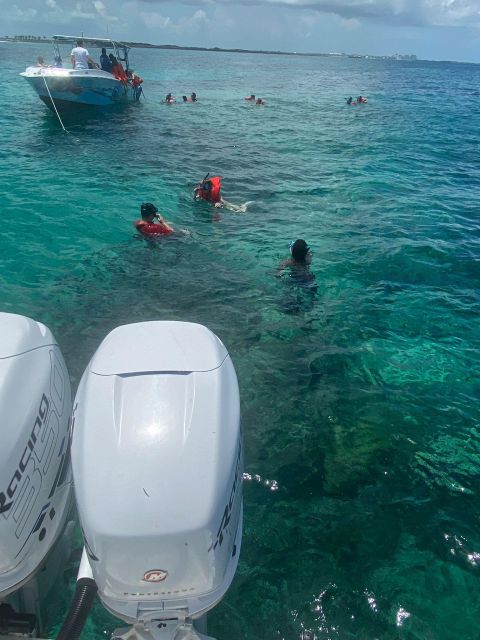 From Nassau: Swim with Pigs Safari - Who gets the best value from this tour
