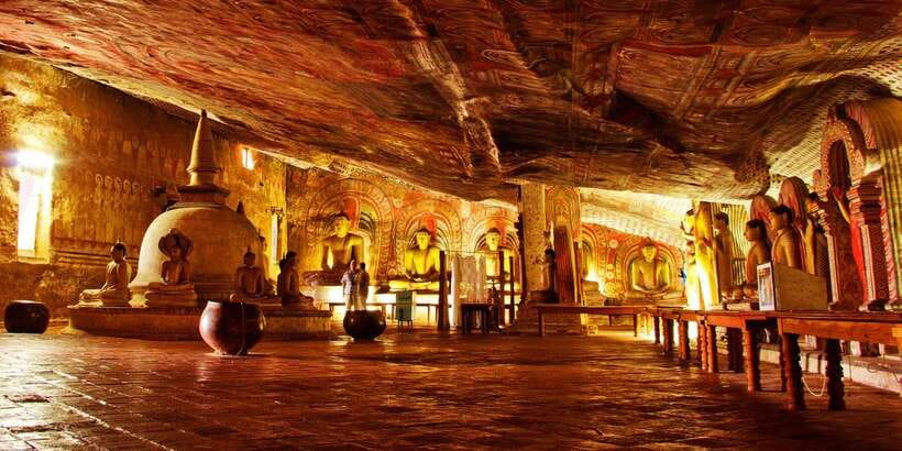 From Negombo: Sigiriya and Dambulla Day Trip and Safari - Choosing the seasonal safari