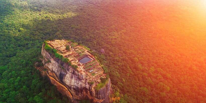 From Negombo: Sigiriya and Dambulla Day Trip and Safari - The driver and guide make a real difference