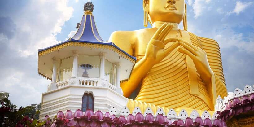 From Negombo: Sigiriya and Dambulla Day Trip and Safari - Who should book this long Sri Lankan day