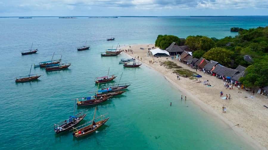 From Paje/Jambian: Safari Blue Snorkelling with Lunch - Key points to know before you book