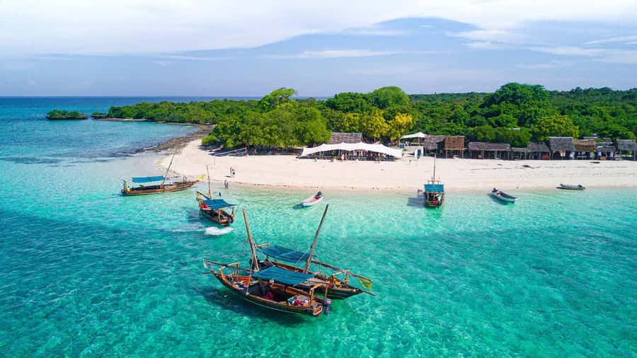 From Paje/Jambian: Safari Blue Snorkelling with Lunch - Starting from Paje or Jambiani at 8 a.m.