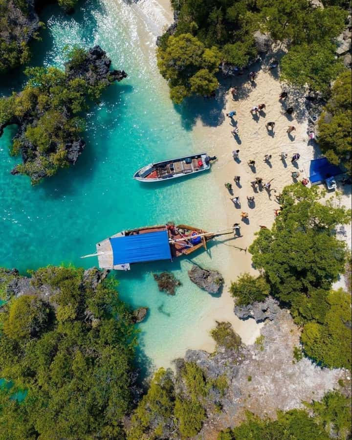 From Paje/Jambian: Safari Blue Snorkelling with Lunch - Who will enjoy this day most