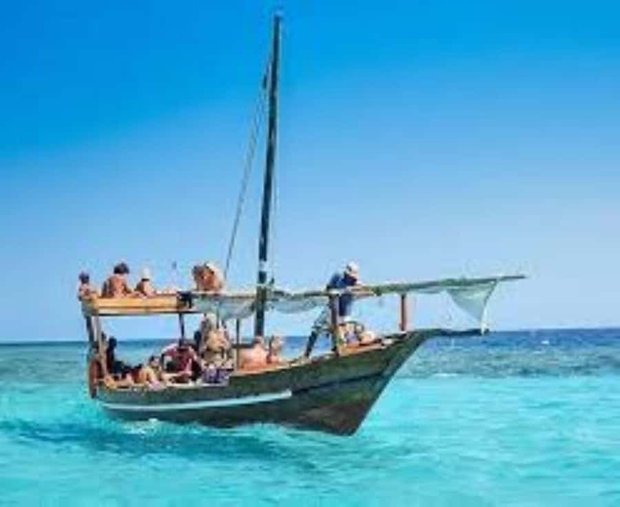 From Paje/Jambian: Safari Blue Snorkelling with Lunch - Sailing into the Menai Bay Conservation Area