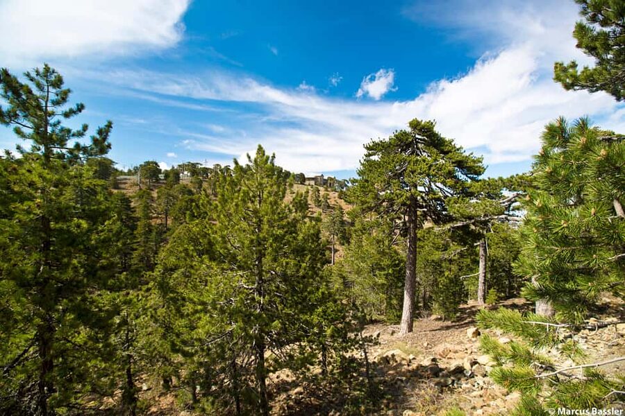 From Paphos: Troodos Jeep Safari - Tzelefos Bridge, Cyprus’s stone classic