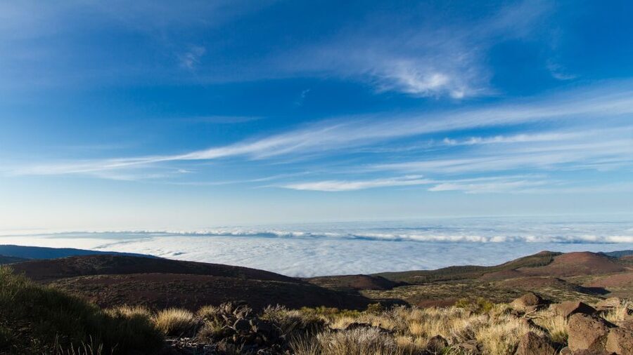From Playa de las Américas: Full-Day Teide Jeep Safari - Starting in Costa Adeje at 8:20 AM
