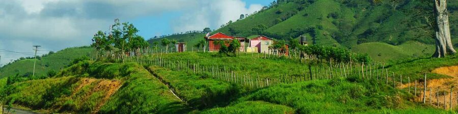 From Punta Cana: Higüey Guided Safari Tour - A private ranch, horseback riding, and a clear-water river
