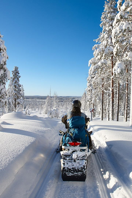 From Rovaniemi: 2-Hour Snowmobile Safari - What the $146 price really includes