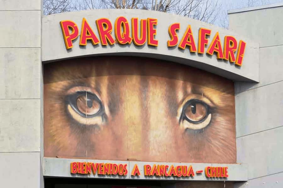 From Santiago: Safari Park, a wild experience - Key points to know before booking