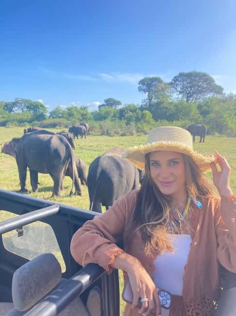 From Sigiriya: Minneriya National Park Private Jeep Safari - Key points to know before you book
