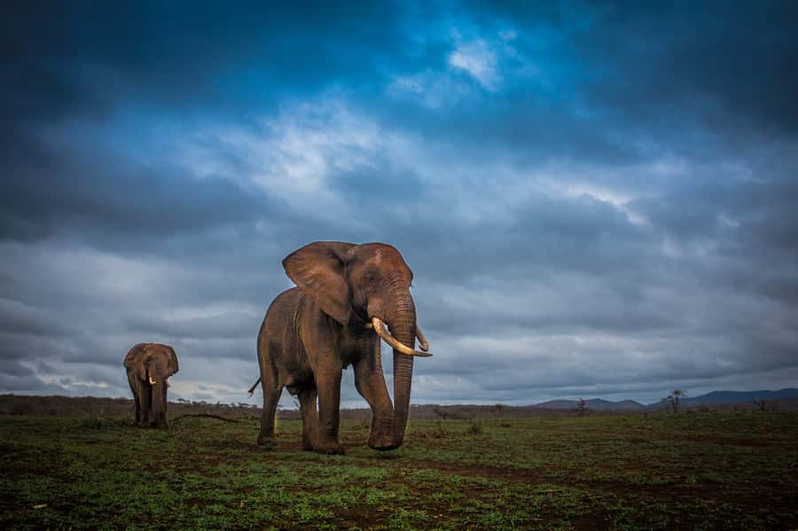 From St Lucia: iSimangaliso Sunset Safari - Why the Eastern Shores make a fine sunset setting