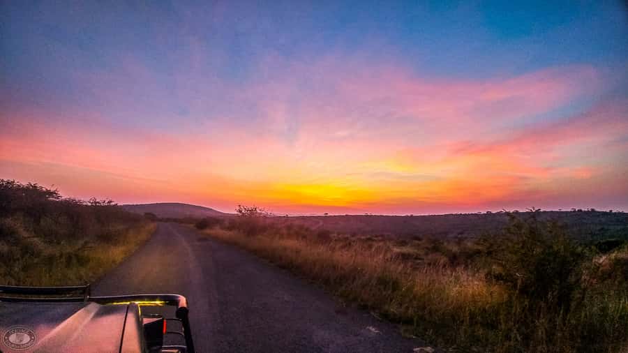 From St Lucia: iSimangaliso Sunset Safari - What you may see after the heat of the day