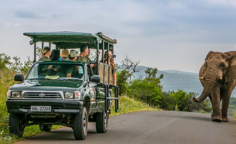 From St Lucia: iSimangaliso Sunset Safari - Weather and timing can shape the whole outing