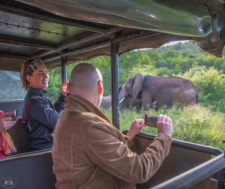 From St Lucia: iSimangaliso Wetland Park Night Drive Safari - Big Five Possibilities in the Dark