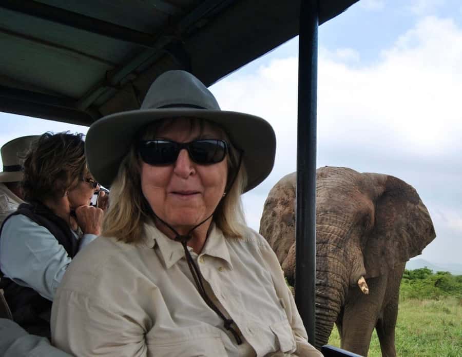 From St Lucia: iSimangaliso Wetland Park Night Drive Safari - Crocodiles, Hippos, and Birds Along the Route