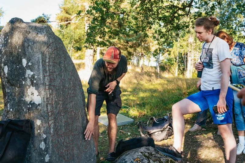 From Stockholm: Moose & Wildlife Safari with Campfire Dinner - From Stockholm streets to quiet Swedish woods