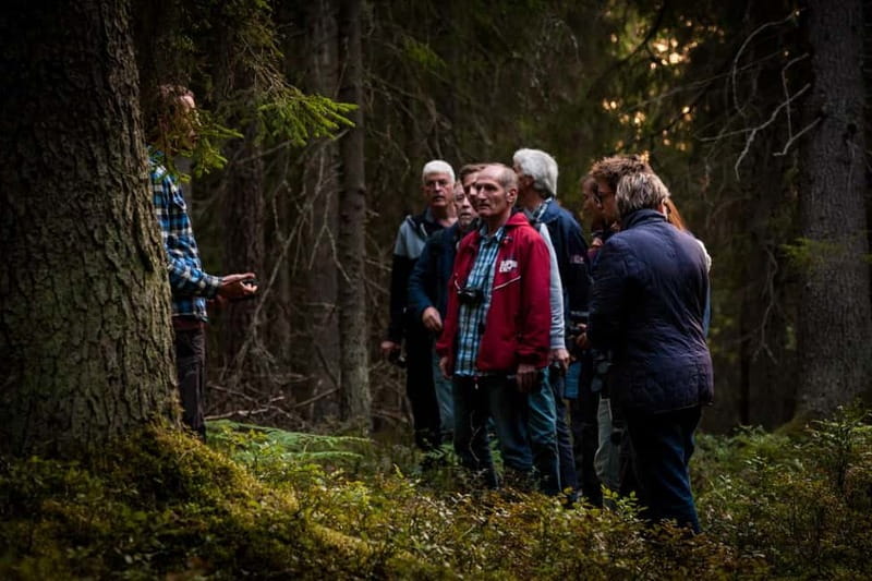 From Stockholm: Moose & Wildlife Safari with Campfire Dinner - Who will enjoy this Stockholm wildlife safari?