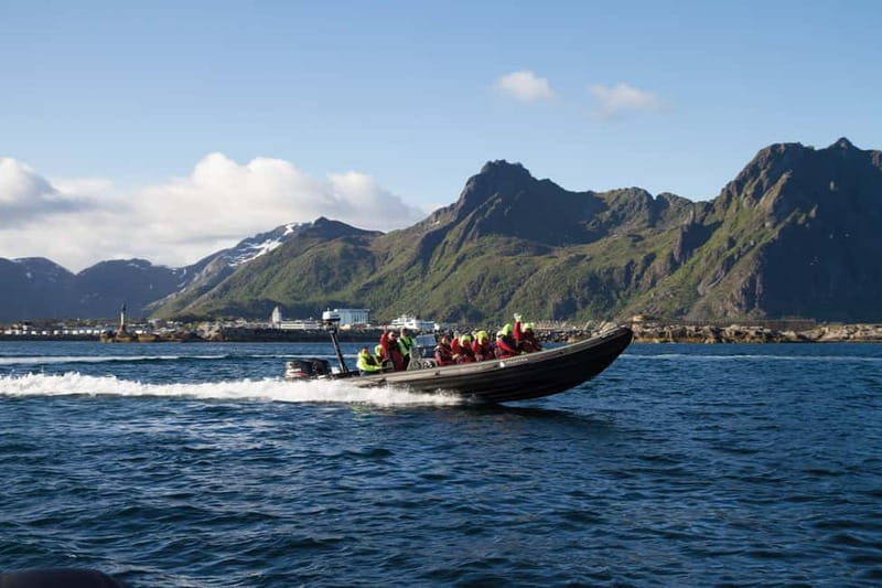 From Svolvær: Lofoten RIB Sea Eagle Safari Trollfjord Cruise - Key points at a glance