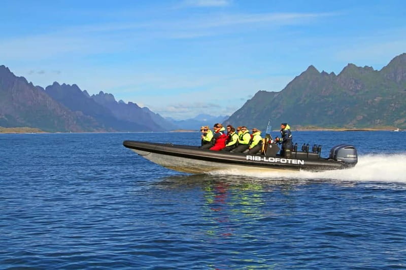 From Svolvær: Lofoten RIB Sea Eagle Safari Trollfjord Cruise - From Torget to the open water