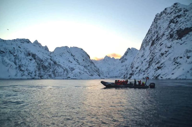 From Svolvær: Lofoten RIB Sea Eagle Safari Trollfjord Cruise - Fast water, calm pauses, and what the ride feels like